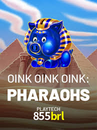 Descubra o Mundo do Cassino Online com 855brl